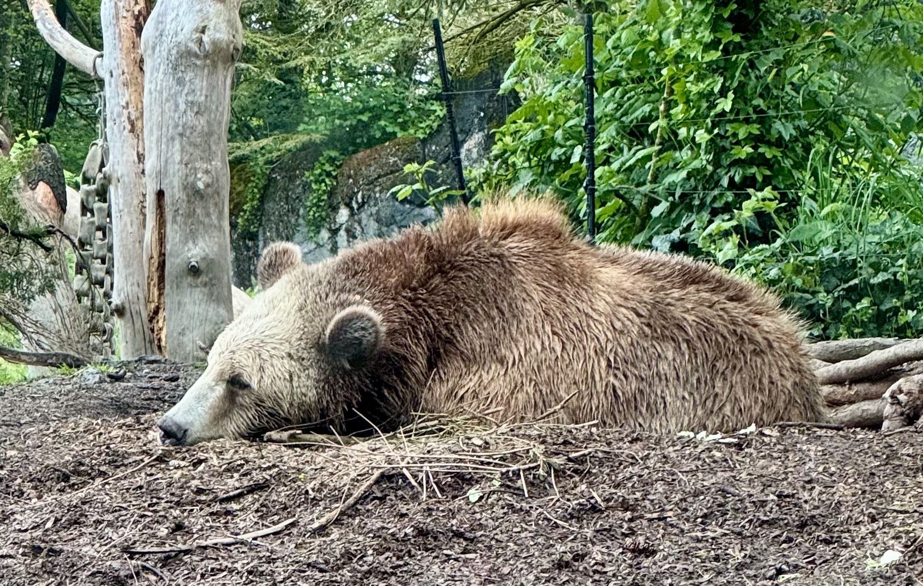 Startups, Songs, and the Art of Momentum